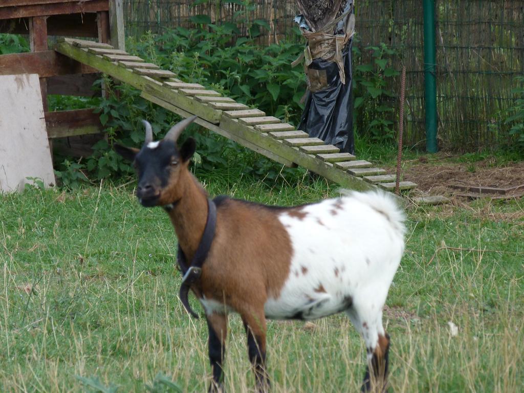 Willa Fancornio Rural Zancornio Zewnętrze zdjęcie